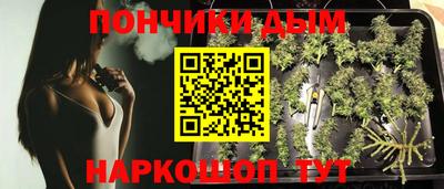 дурь Кимры