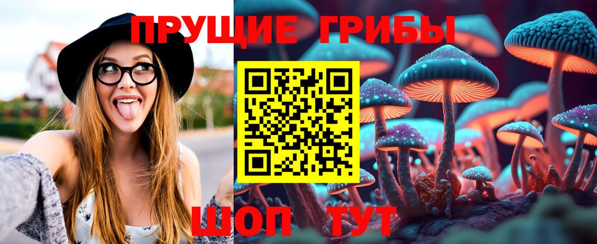 Тобольск  Псилоцибиновые грибы Magic Shrooms  Вход с VPN 